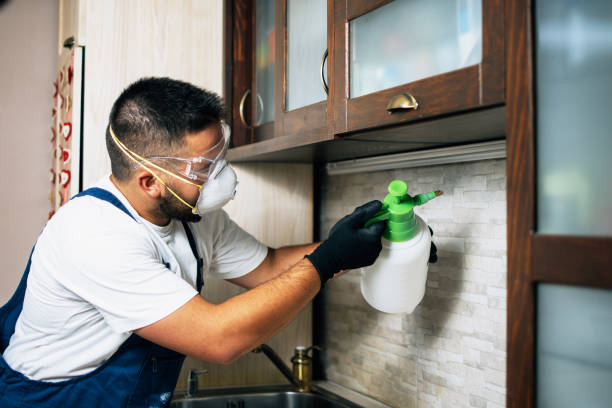 Best Pest Control Cost  in Newton, IL