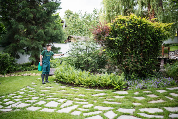 Best Best Pest Control Near Me  in Newton, IL
