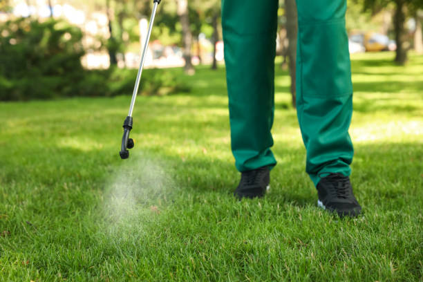 Best Pest Inspection Near Me  in Newton, IL