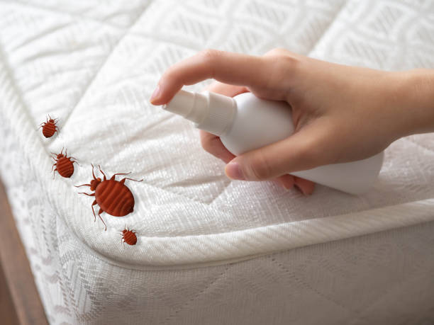 Best Pest Inspection Near Me  in Newton, IL