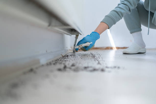 Best Wildlife Control Services  in Newton, IL