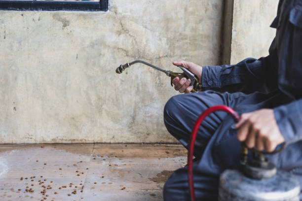 Best Affordable Pest Control Services  in Newton, IL
